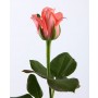 Розовая роза "Карина"